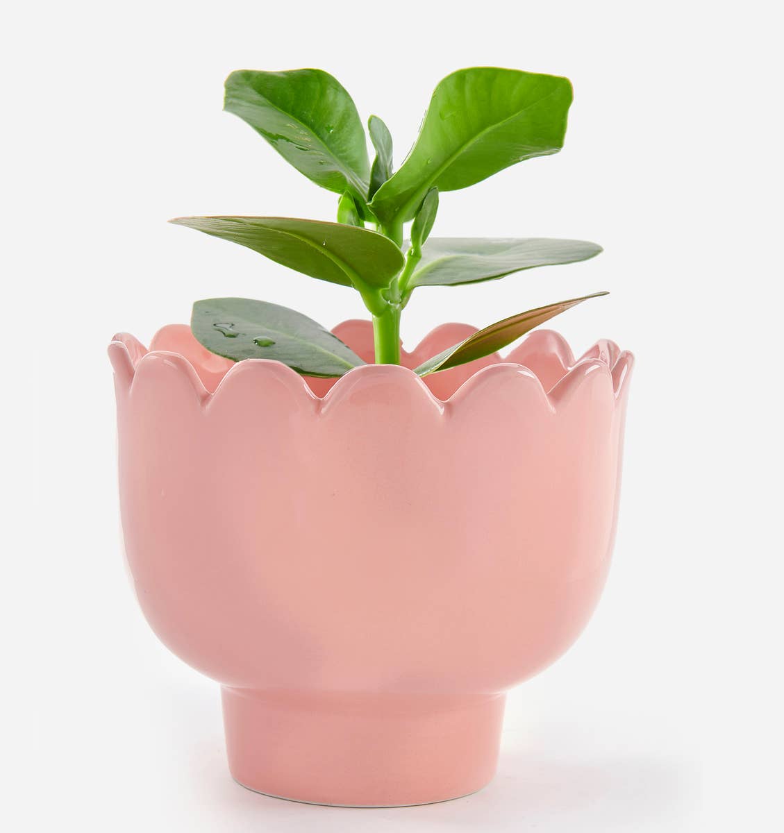 Pink Flower Planter, Light Pink