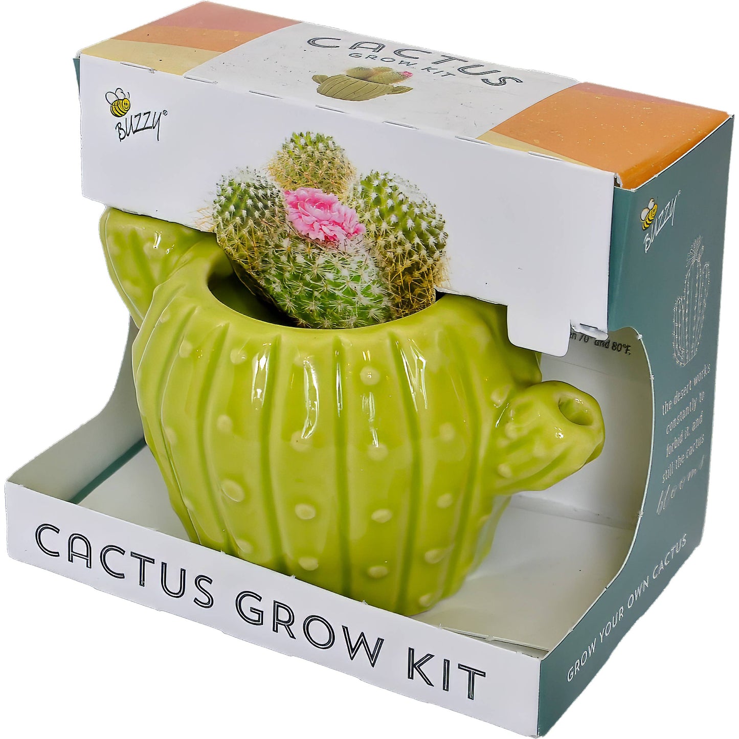 Classic Cactus Grow Kit | Terracotta Planter | Indoor Gift