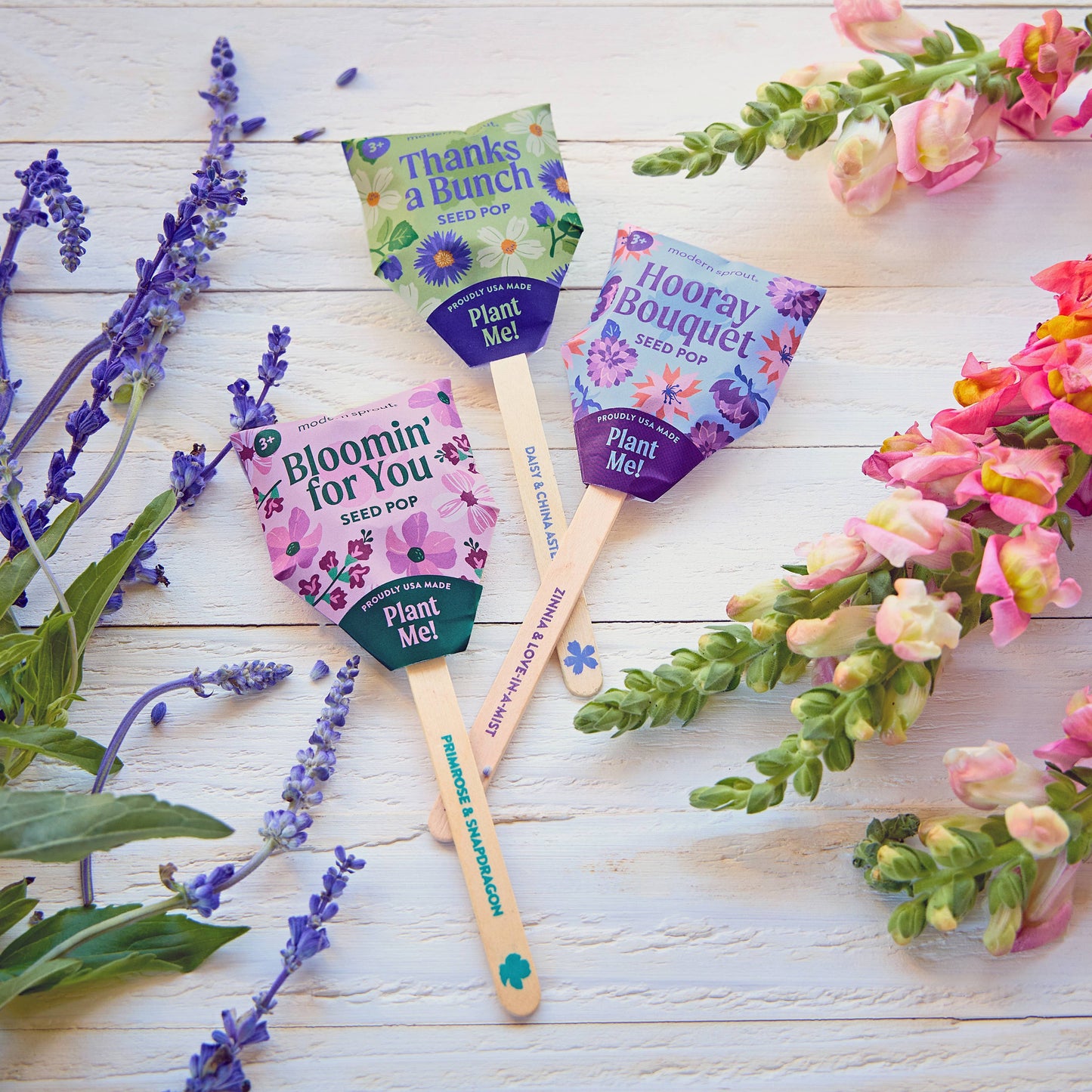 Flower Seed Pop (Single)
