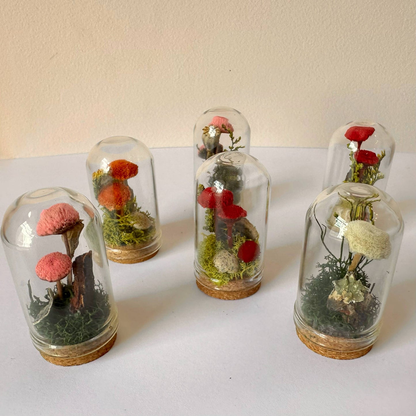 Mushroom Mix Terrarium Glass Cloche Cork Jar & Florals
