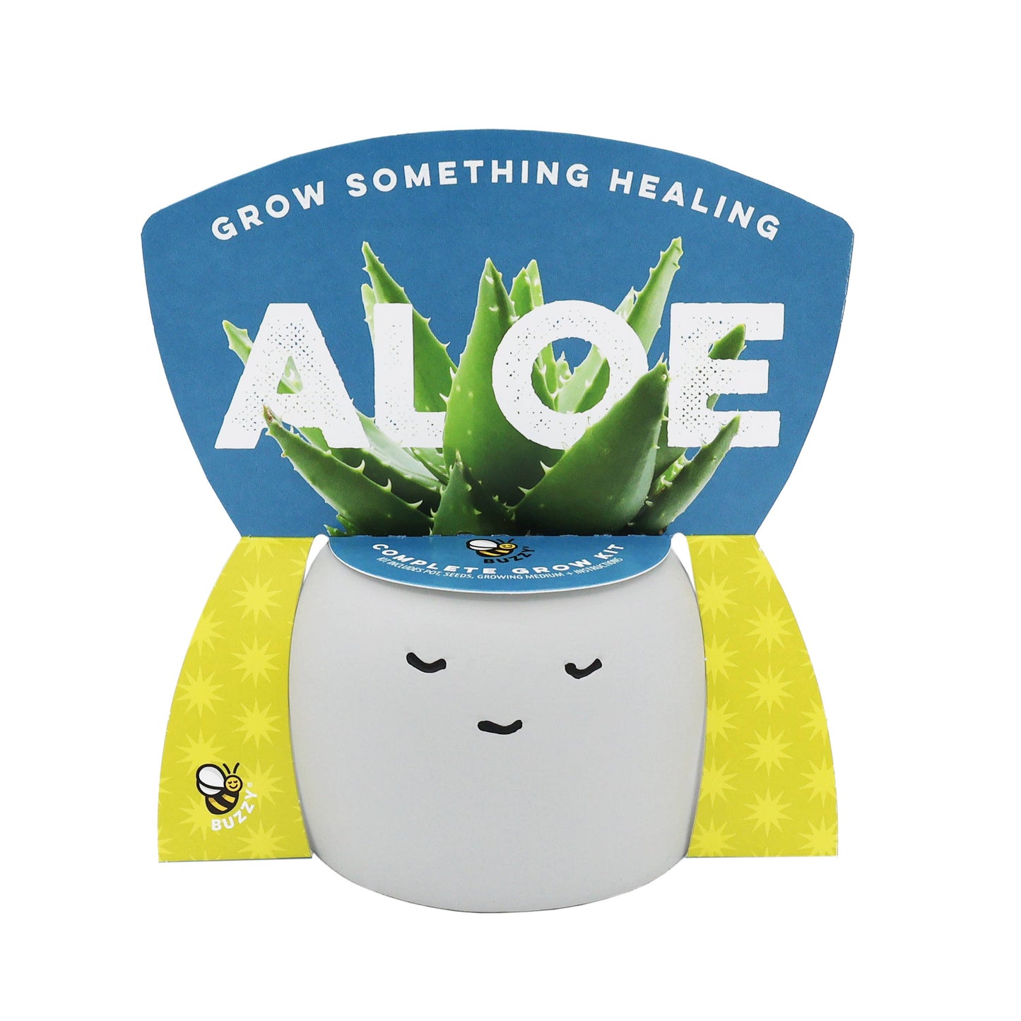 Peaceful Pots 3pk | Indoor Herb & Succulent | Zen Garden