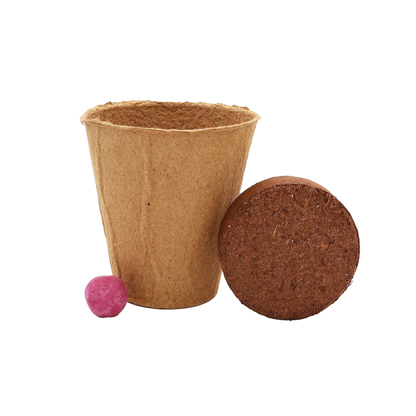 Wildflower Seed Ball Cups 6pk | Pollinator Mix | Bee Garden