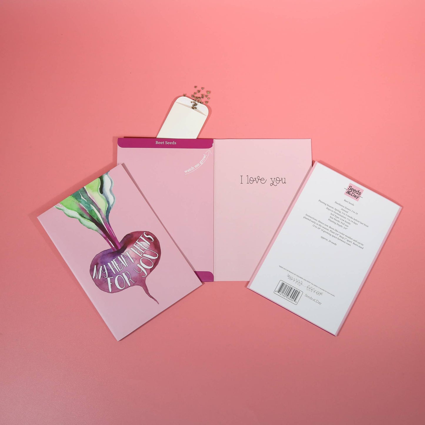 SEED PACKET GREETING CARDS | FREE Display w/36+ Cards