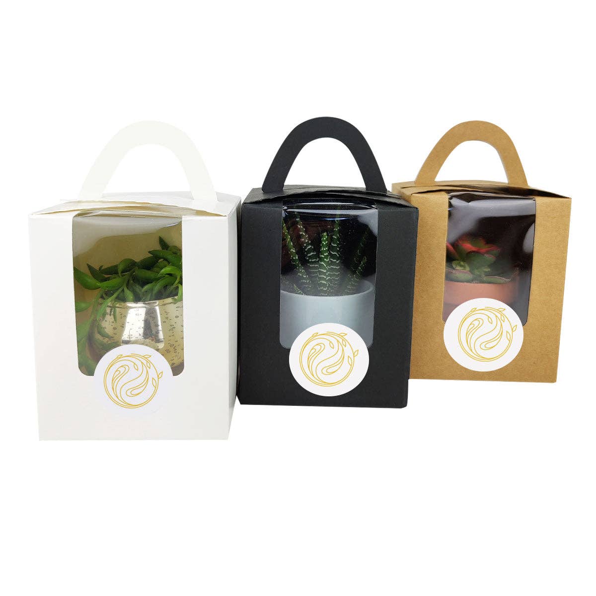 Plant Carrier Bag, Succulent Gift Box, Valentine Gift Ideas