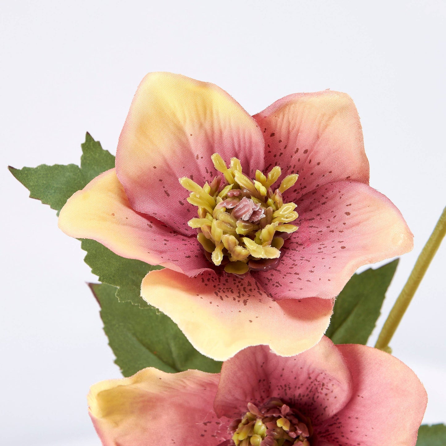 Pink Hellebore Floral Pick