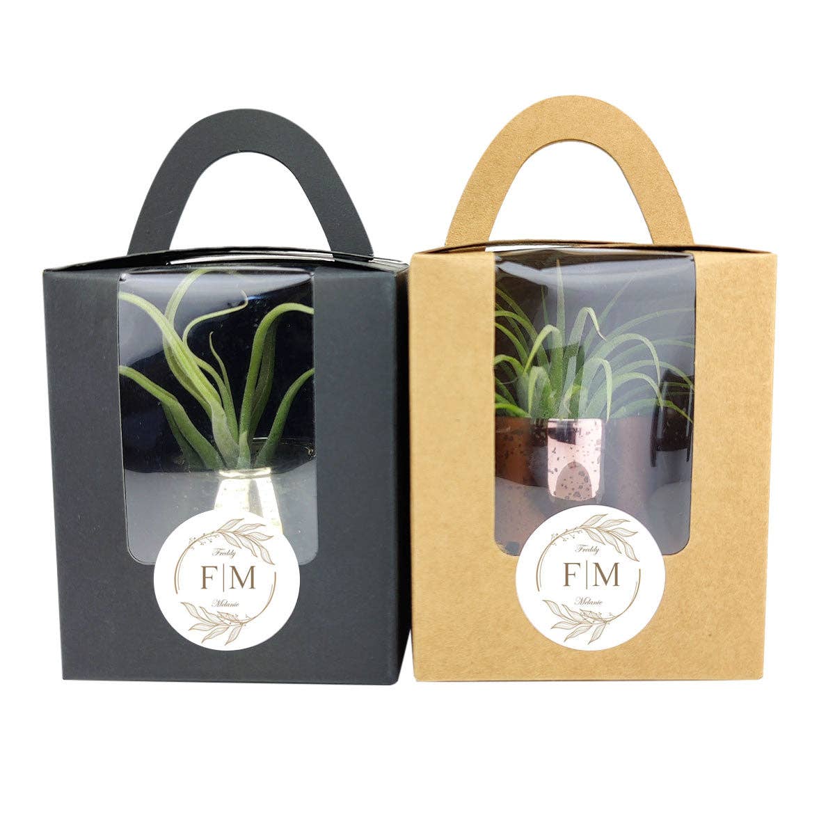 Plant Carrier Bag, Succulent Gift Box, Valentine Gift Ideas