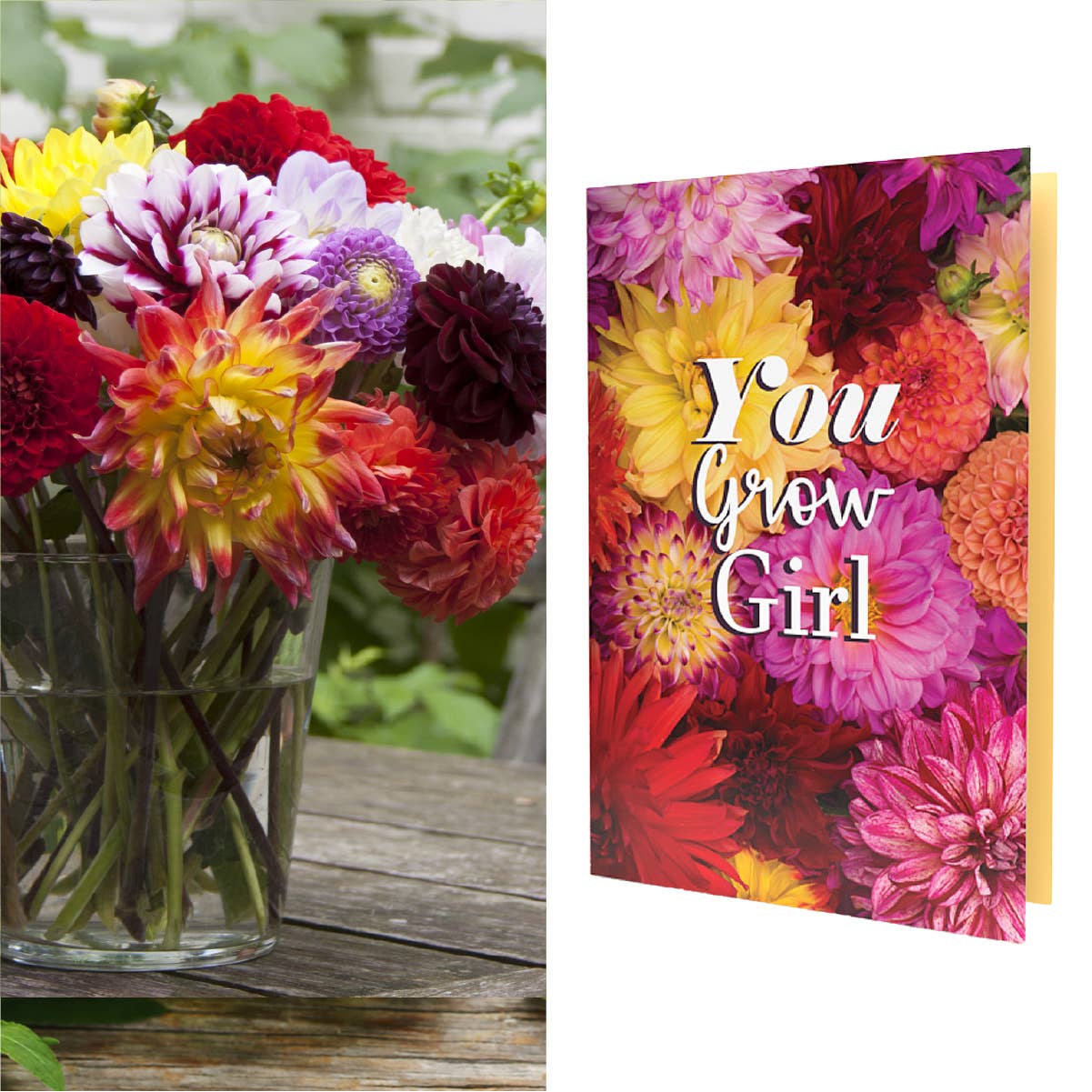 SEED PACKET GREETING CARDS | FREE Display w/36+ Cards