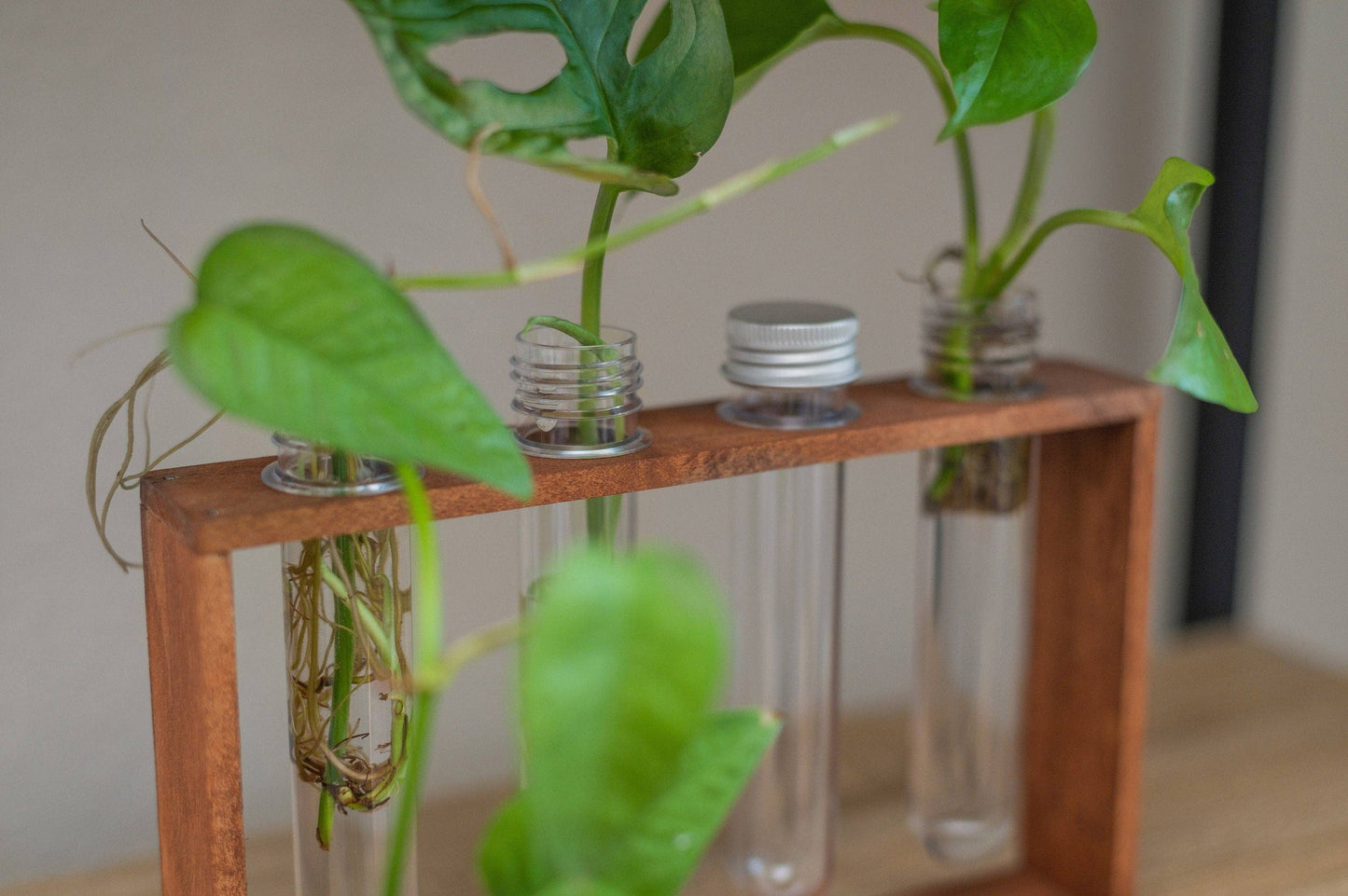 4 Vial Table Top Propagation Station