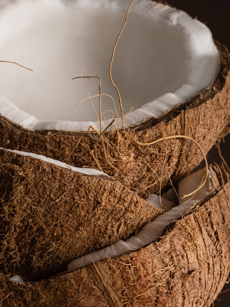 Coconut Calm by Becki Owens - Pura Home Refill