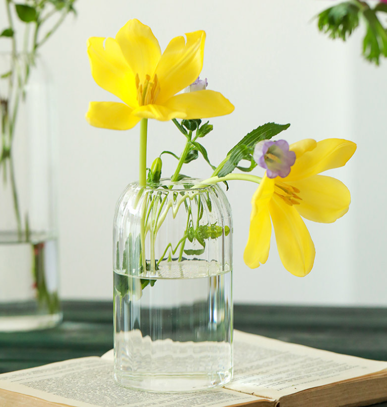 Stripes Clear Bud Vases, Borosilicate Light Weight Glass