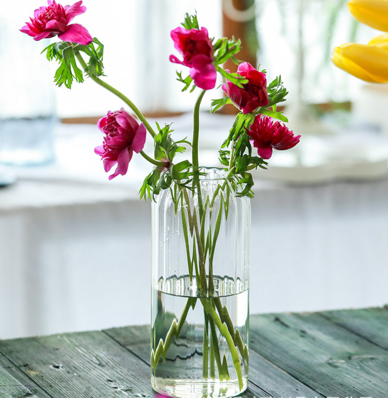 Stripes Clear Bud Vases, Borosilicate Light Weight Glass