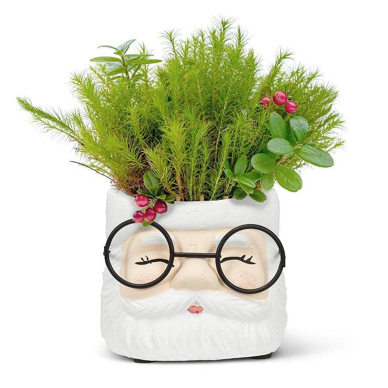 Small Santa Planter with Glasses