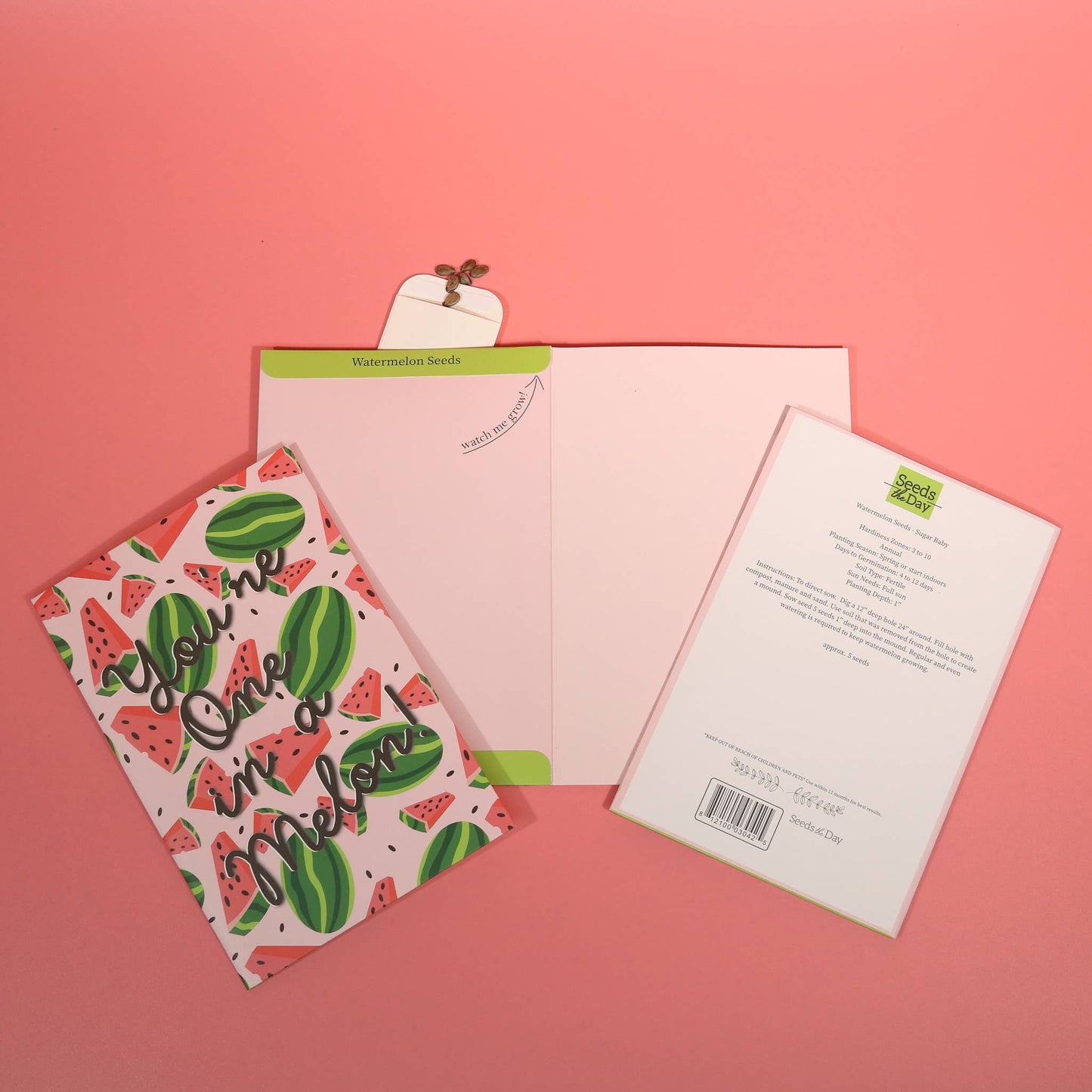 SEED PACKET GREETING CARDS | FREE Display w/36+ Cards