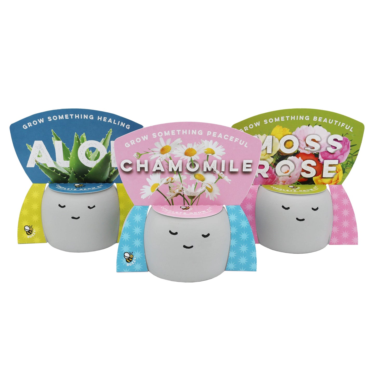 Peaceful Pots 3pk | Indoor Herb & Succulent | Zen Garden