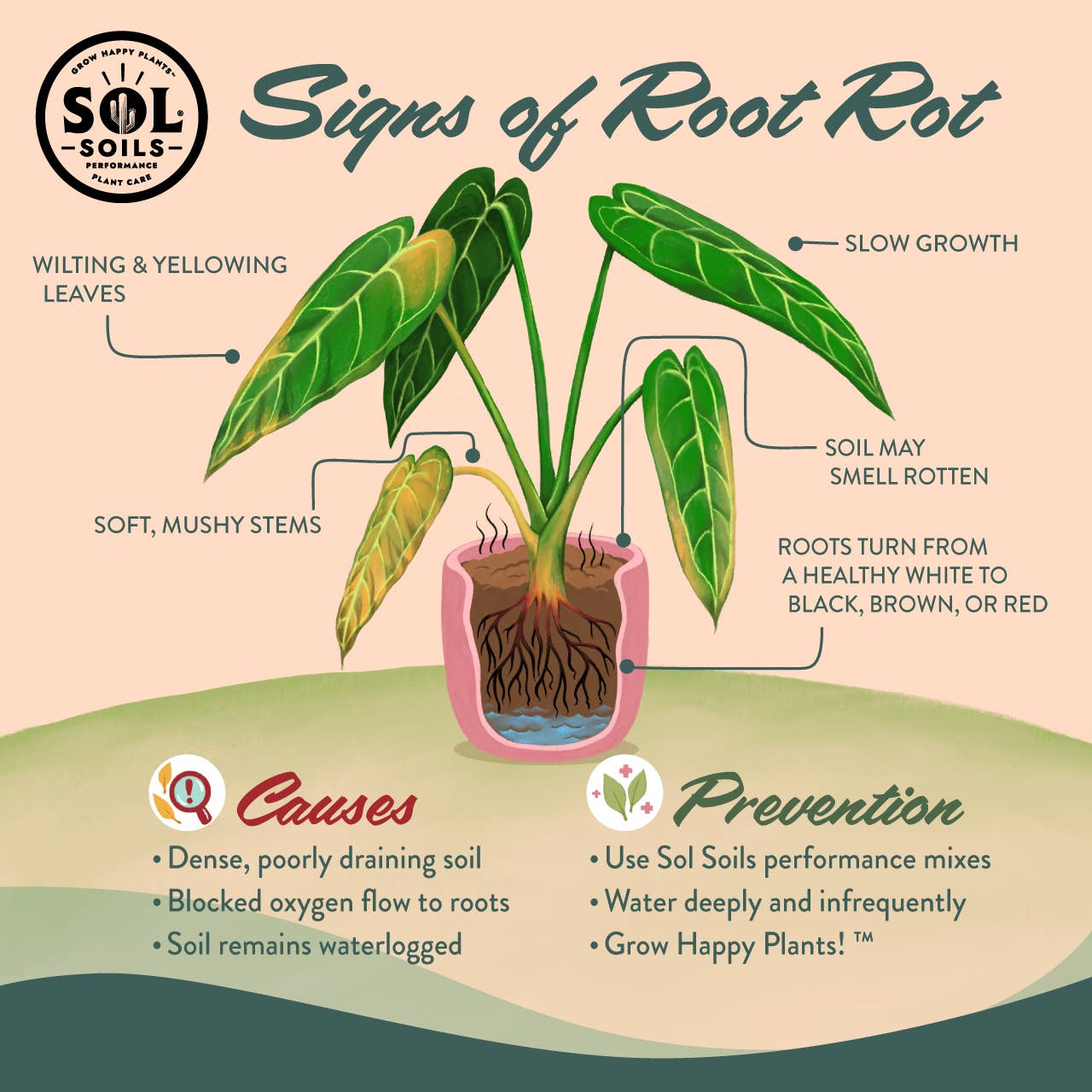 Soil (2Qt) Houseplant Chunky Mix (Aroid/Tropical Mix)