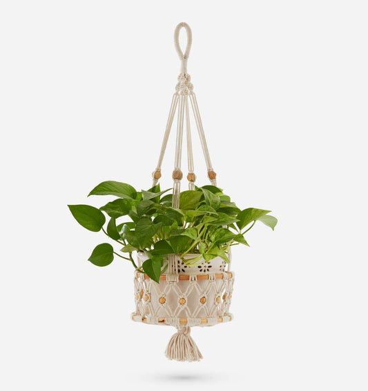 Macrame Hanging Planter Basket