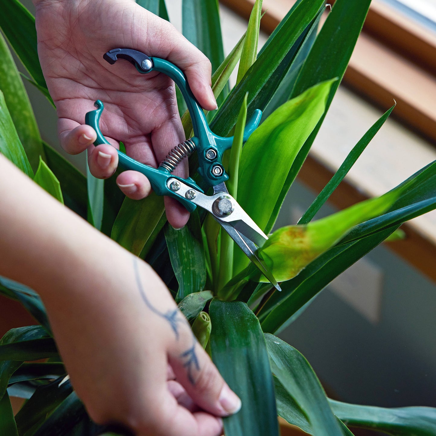 New Colors! Garden Shears