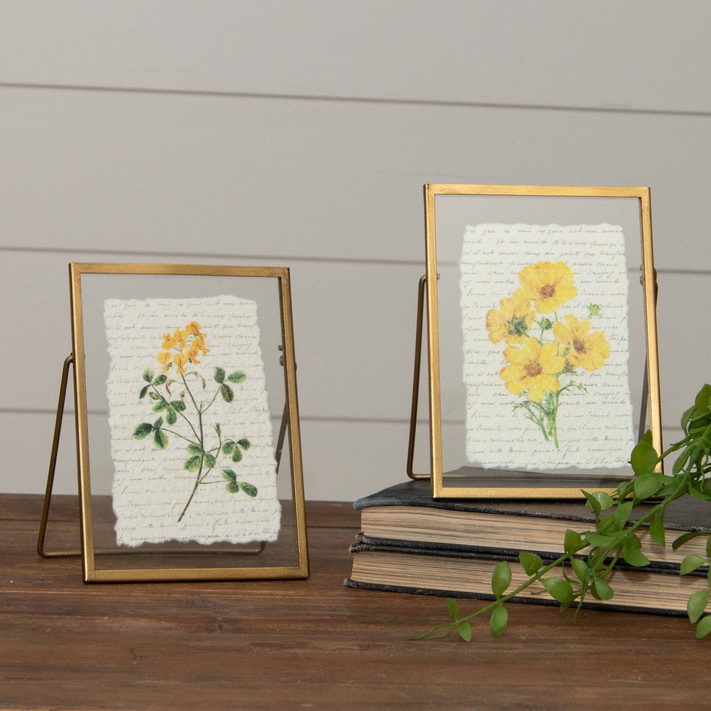 Gold Frames - Yellow Flowers (Pk/02 Ast)