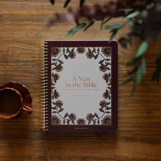 A Year in the Bible | 365 Days of Discovering the Beauty of Jesus from Genesis to Revelation | Volume 2