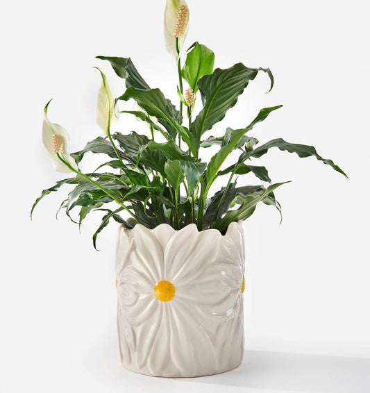 Ceramic Daisy Planter, 2 Asst.